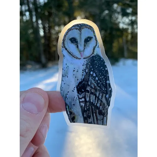 Barn Owl Sticker