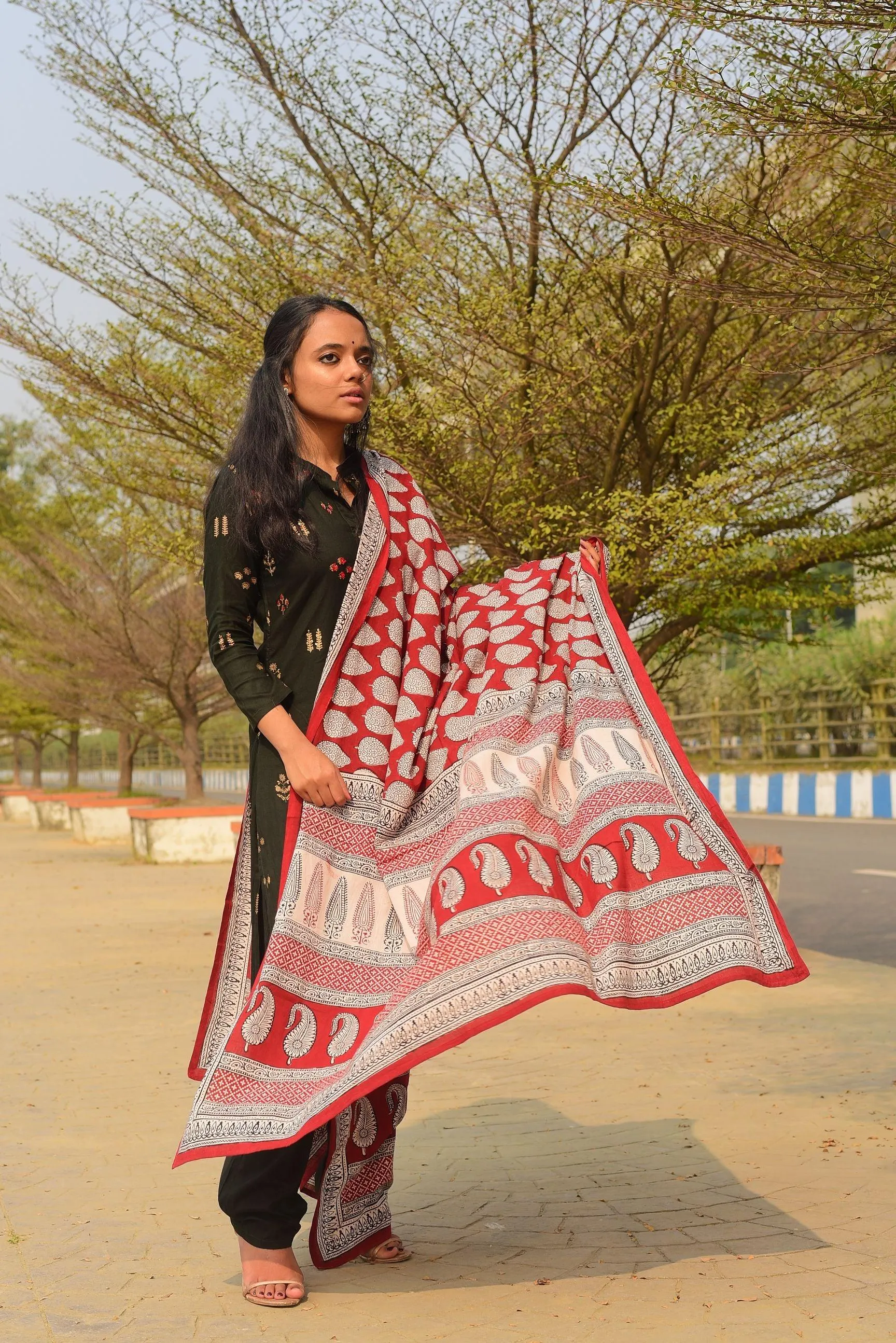 Kaisori Nandana collection - Bagh block printed dupatta