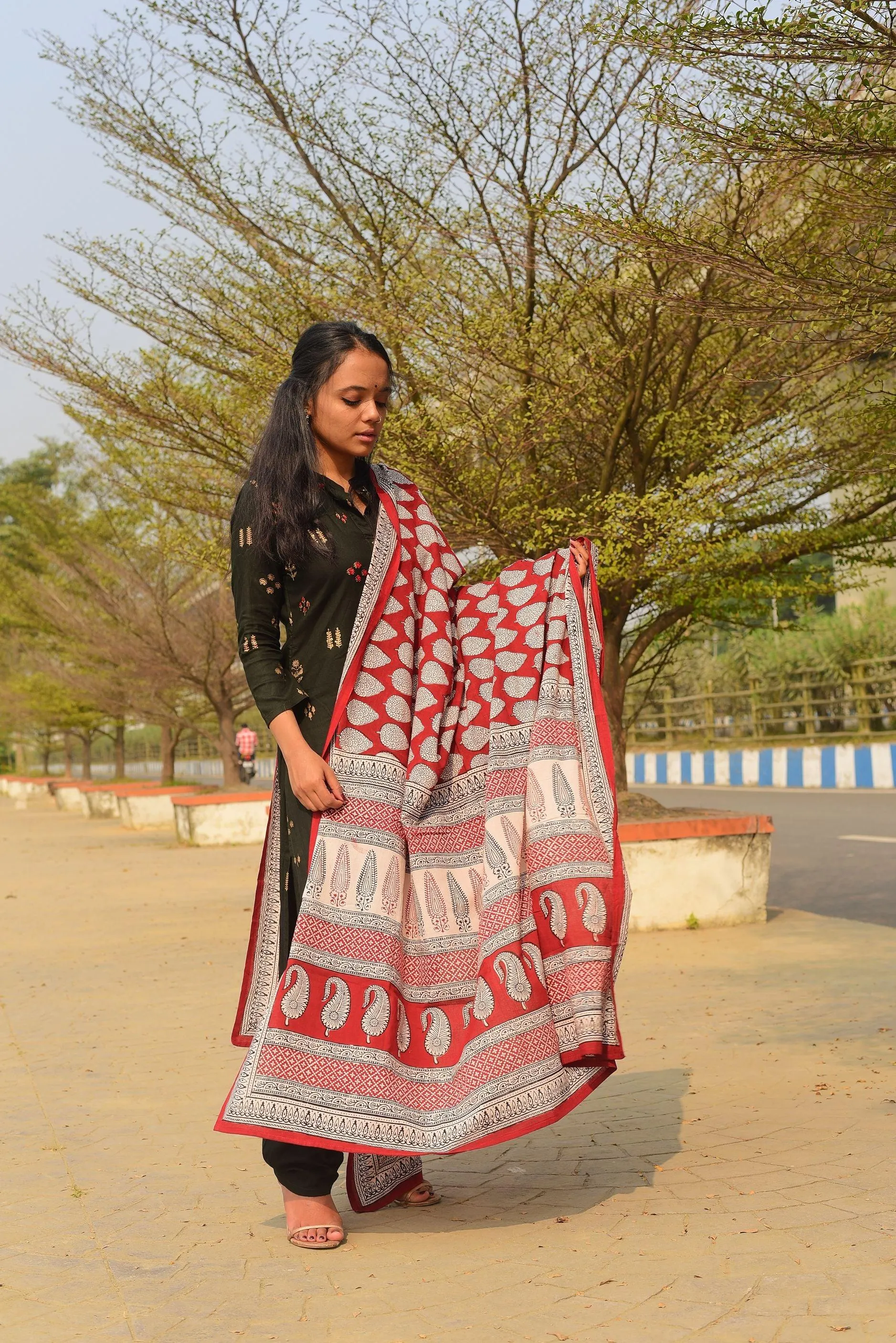 Kaisori Nandana collection - Bagh block printed dupatta