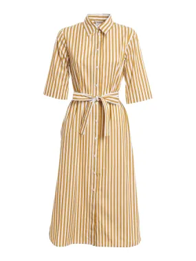 Max Mara Striped Belted Shirt Dresses