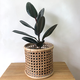 Solihiya Planter Sleeves in Medium