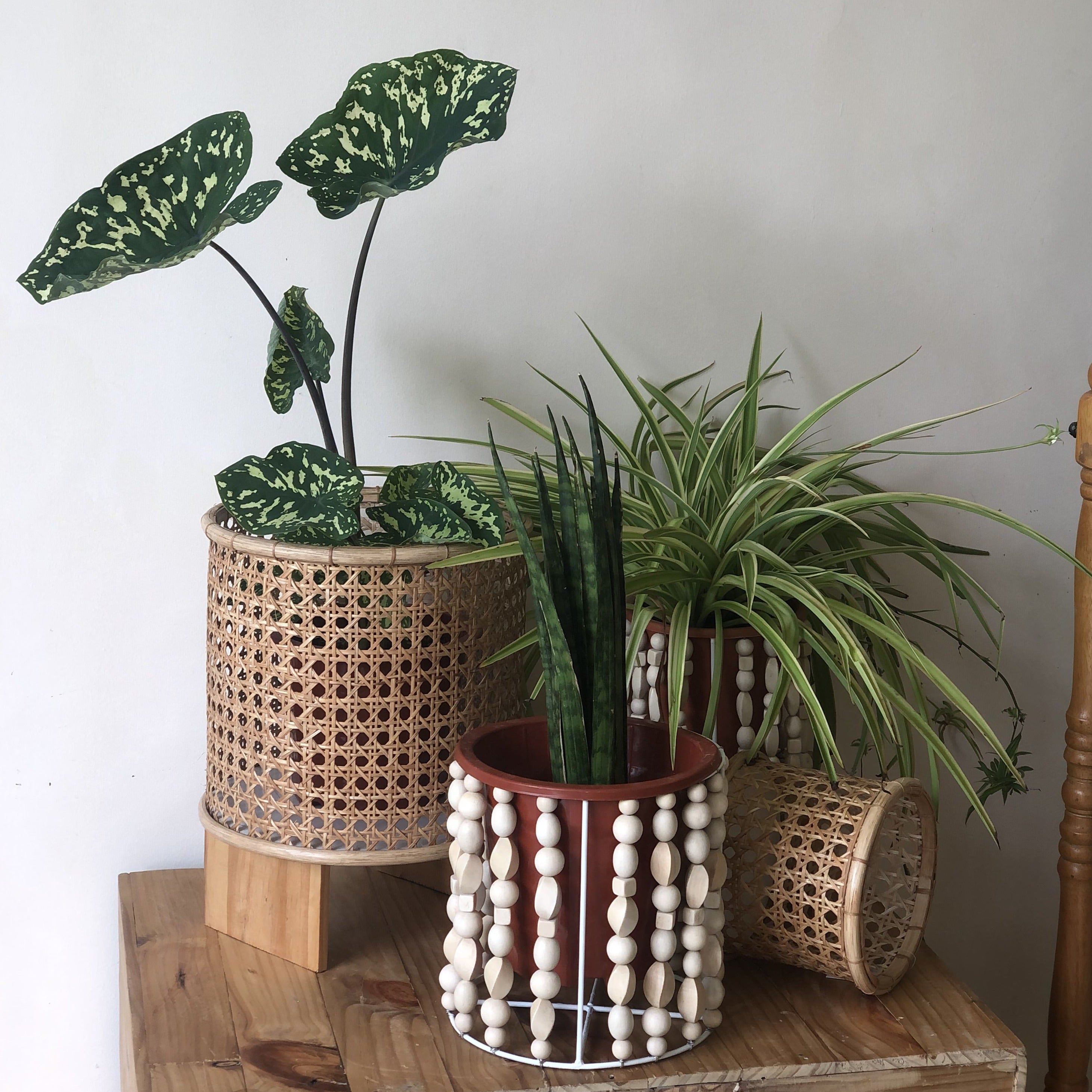 Wooden Bead Planter Sleeve in Small